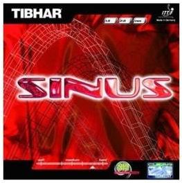 Sinus